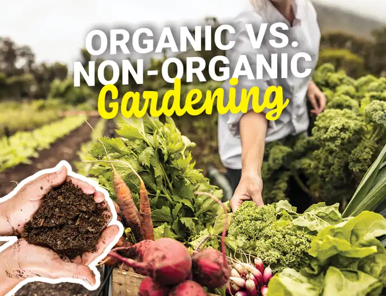 Organic Cover
