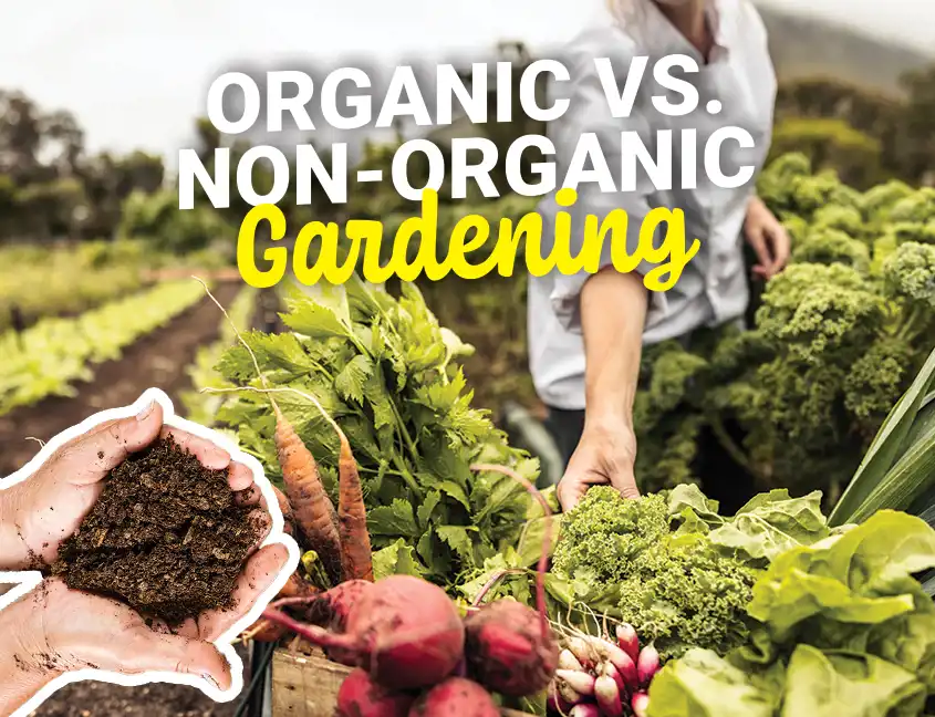 Organic Cover
