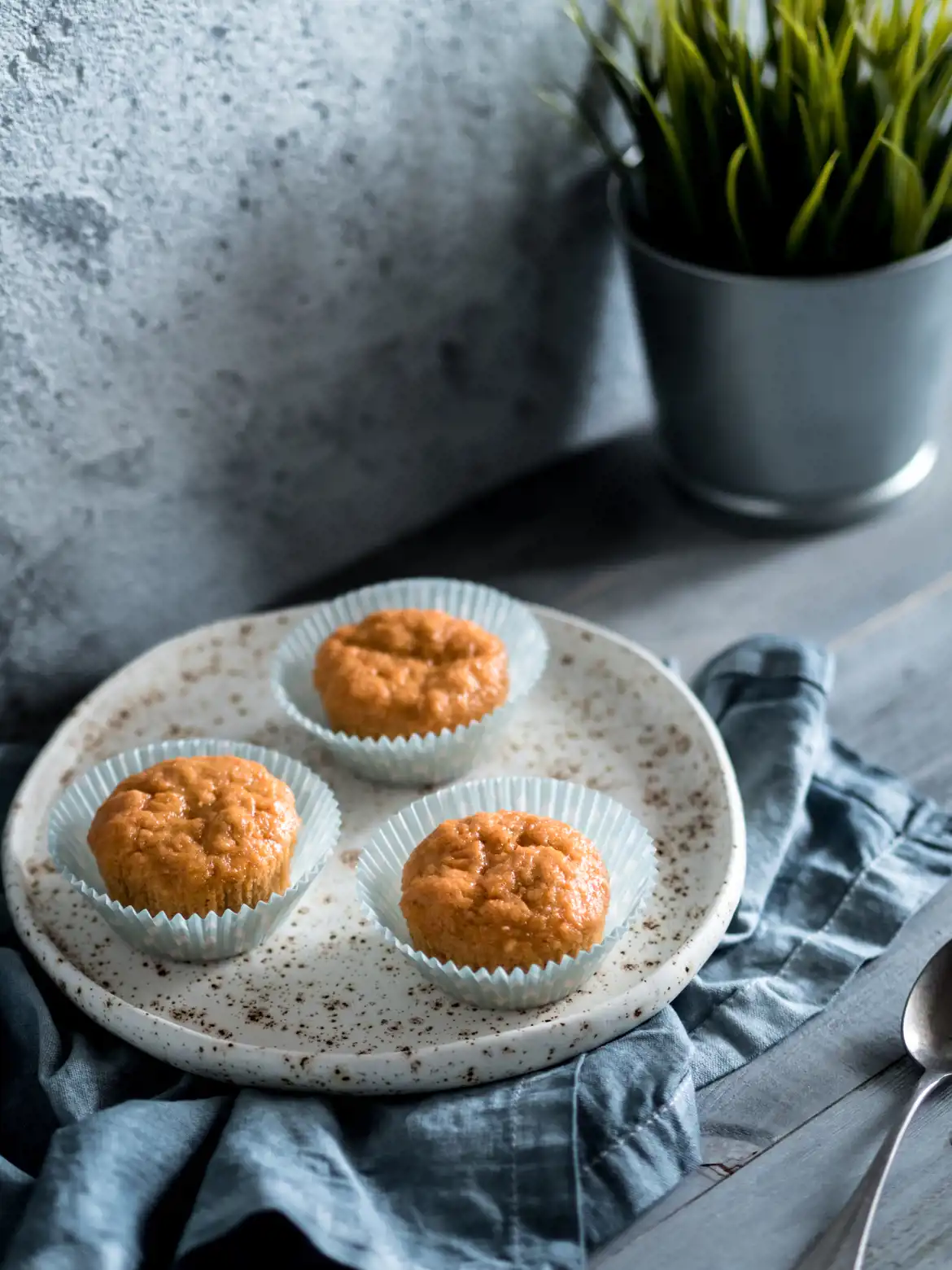 Tiny Tot Muffins for Toddlers