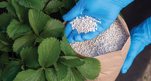 Fertilize