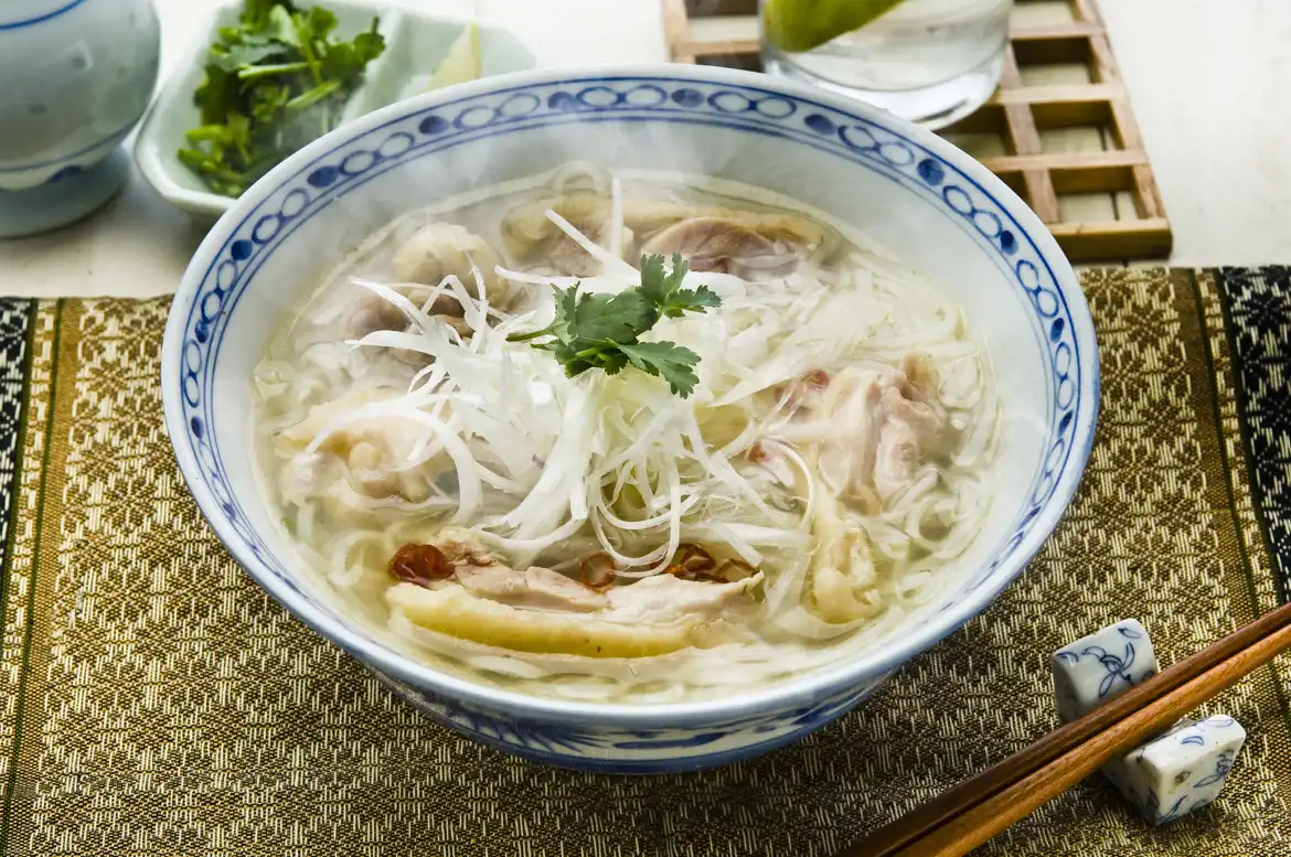 Vietnamese Pho Chicken Noodle Soup