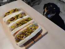 Haute Dogs