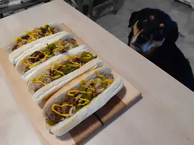 Haute Dogs