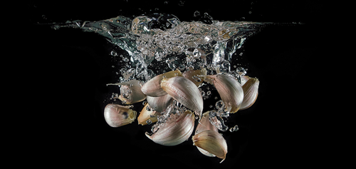 soak garlic before planting