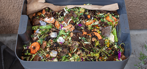 Compost bin full of kitchen scraps