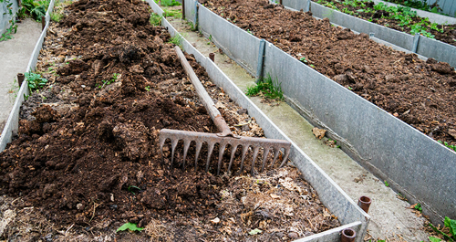 Prepare the soil