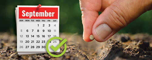 The latest you can plant brussel sprouts is usually late summer or early fall