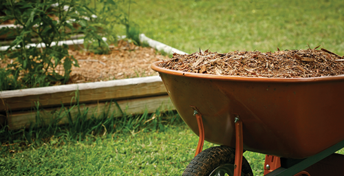 Mulching and Fertilizing