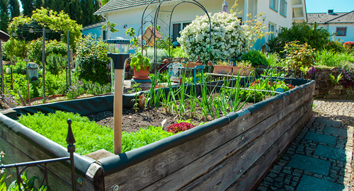 Beautiful landscaping in backyard with raised bed with vegetables plants