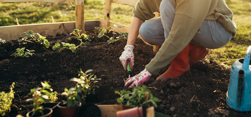 Woman digging in a vegetable garden