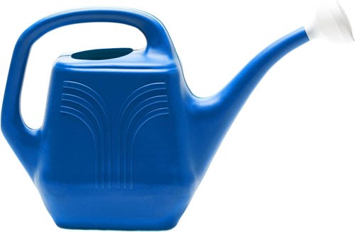 Bloem Watering Can