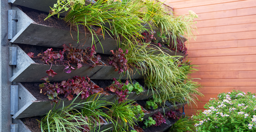 Vertical green wall garden made from recycled waste plastics