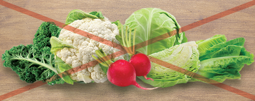 avoid planting other brassica family vegetables near your brussel sprouts