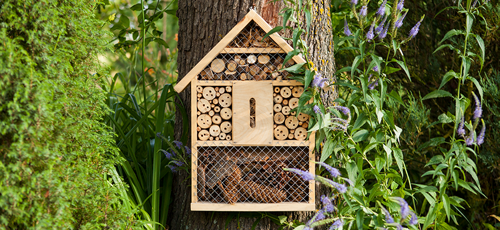 Bee house hung on a tree in a garden