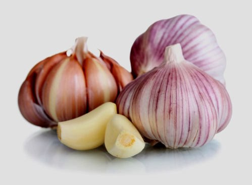 Garlic Bulb (HARDNECK)