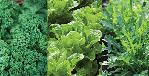 Leafy Greens