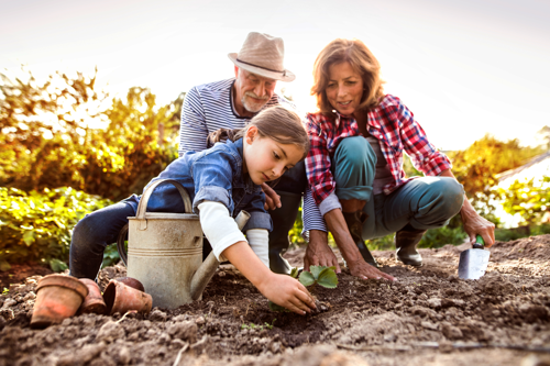 stagger your planting times