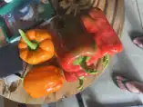 Garden fresh 
