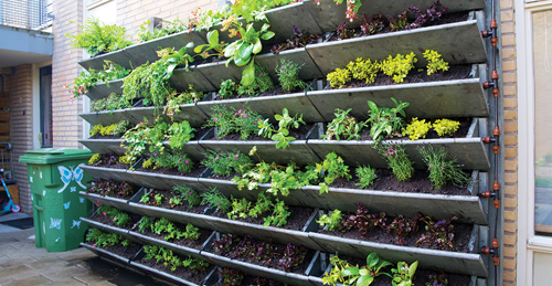 Green plants in a vertical wall garden