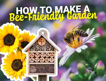 Bee Cover
