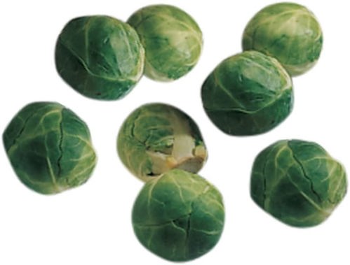 Brussel Sprout Seeds