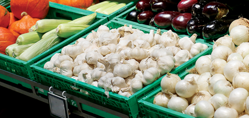 Supermarket garlic is not always suitable for planting