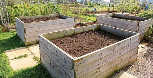 Perfect Spot for Carrots to Grow