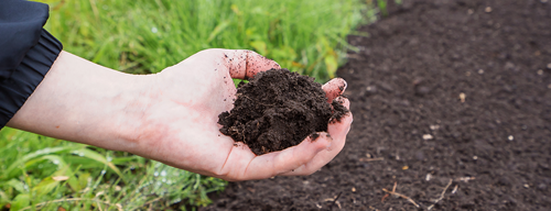 Hand holding a ball of soil