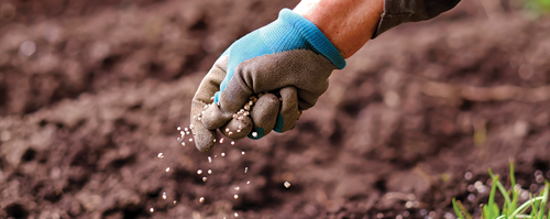 All Purpose Plant Food