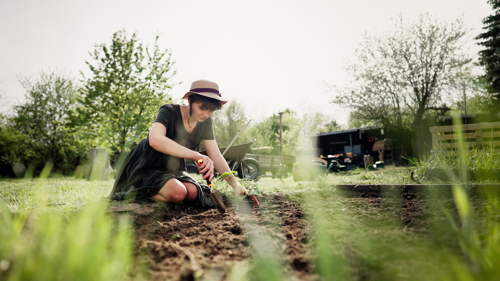 The best time to plant brussel sprouts is in the spring