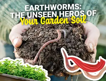 Worms Cover