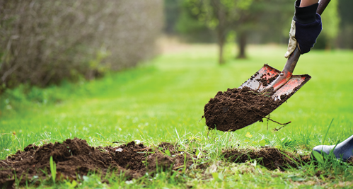 Prep the soil