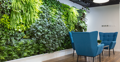 A variety of lush green plants covering a wall