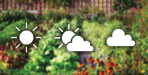 Partial Shade Guide