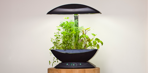 Small hydroponic herb garden with grow light
