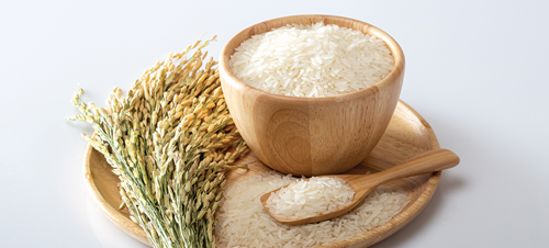 Typically with a single plant you're looking at about 1-2 cups of rice, per yield