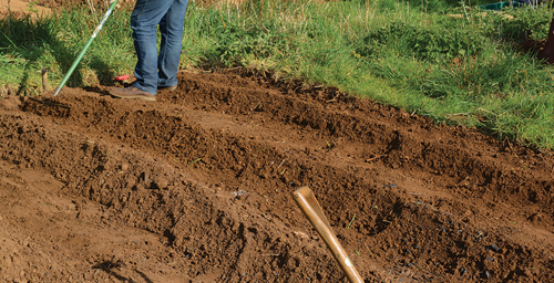 Preparing the Soil