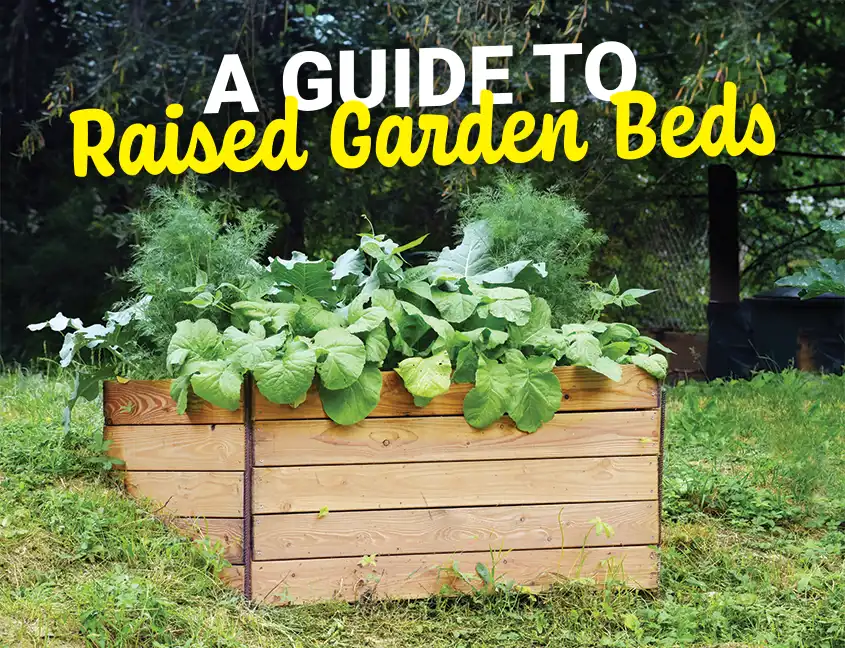 Raised=Cover