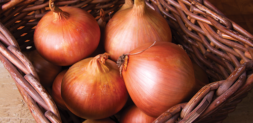 Store your onions